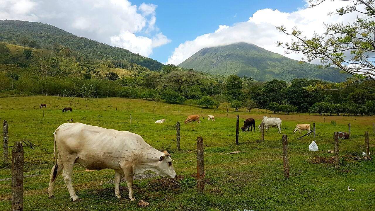 Tio Felix Eco Lodge Ла Фортуна Экстерьер фото